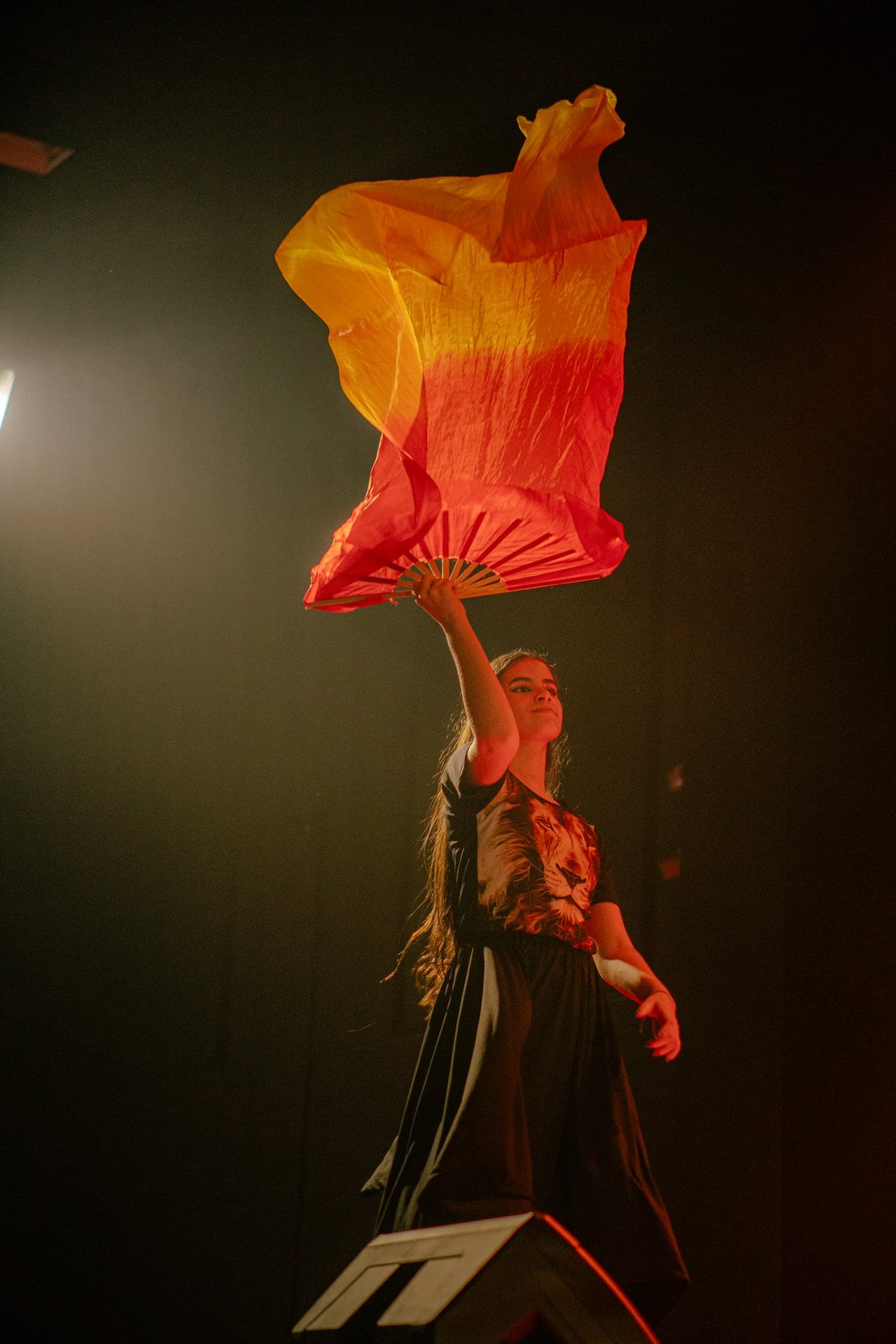 Festa das Cores (foto 8)